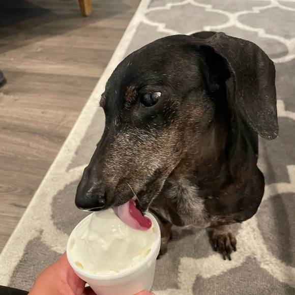 Meet your Posher, Trish - Picture 1 of 1